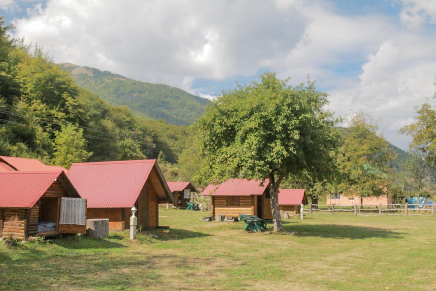 Camp &Apartmens Scepanovic Мойковац Экстерьер фото